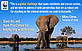 US secretary of state Hillary Clinton speaks out about the global need to tackle wildlife crime, Nov 2012