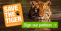 Save the tiger - sign our petition