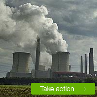 coal, action
