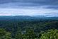 A view over the forest in the morning near Kika, East province, Cameroon.