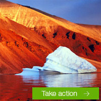 Emergency climate action needed