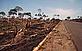 Deforestation along road between Rio Branco and Xapuri, Acre, Brazil