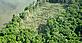 Mark Carwardine / naturepl.com Aerial view of clear-cut rainforest, Amazonia, Brazil