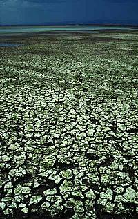 Dried up lake bed caused by drought, Naivasha, Kenya.
