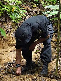 Dung inspection