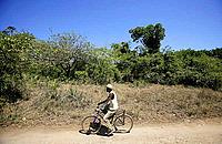 A man cycles through the Kaya Waa sacred forest, Kenya