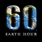 WWF's earth hour 2009