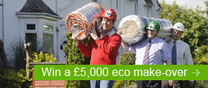 eco makeover launch