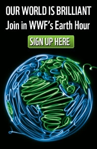 Earth Hour 2012