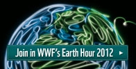Earth Hour 2012