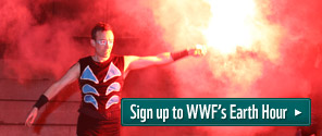 Button to sign up for WWF's Earth Hour 2012