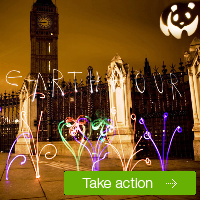 earth hour, action