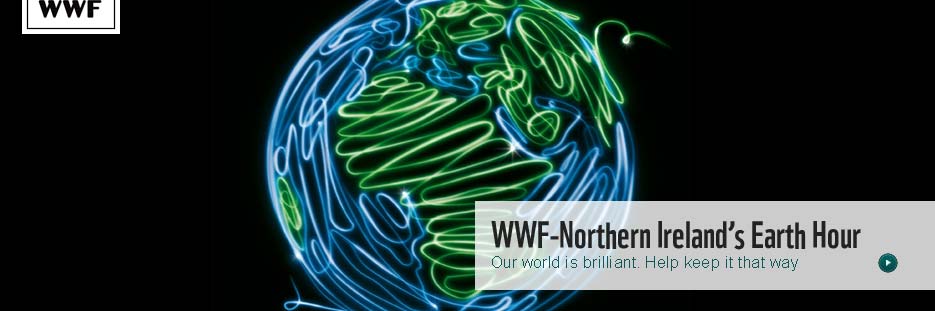 WWF-Northern Ireland's Earth Hour