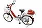 Electric bicycle - © Luyuan Electric bicycle
