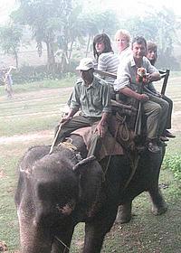 Elephant safari - Nepal diary