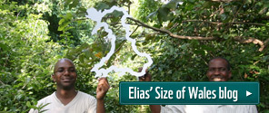 Elias blog promo button