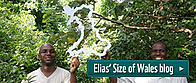 Elias blog promo button