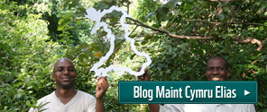 Blog Elias