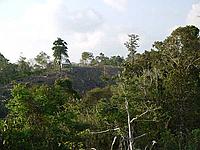 Encroached landscape