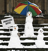 Endangered snowmen