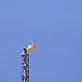 Flame from refinery