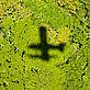 Shadow of a plane over rainforest