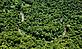 Untouched forest © Brent Stirton / Getty Images / WWF-UK
