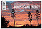 © Richard Hamilton / WWF-Canon Forests and energy report Forests and energy report