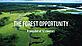 WWF The forest opportunity The forest opportunity