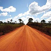 © WWF-UK / Brent Stirton / Getty Images