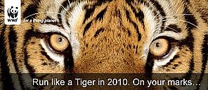For Run like a Tiger in 2010 banner
