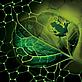 The foam soaks up carbon dioxide from the atmosphere and generates sugars that can be converted into biofuel - © Courtesy of David Wendell The foam soaks up carbon dioxide from the atmosphere and generates sugars that can be converted into biofuel