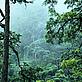 Wolong Nature Reserve - Conifer forest at approximately 3000 meters. Sichuan Province, China
