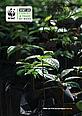 WWF-UK Cover image FTN Annual Report 2007/08
