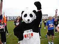 Get those arms up Panda