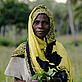 Portrait of a Kenyan worker at Golini Community Nursery, Kenya