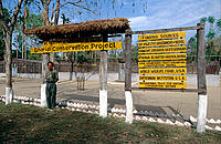 Gharial Conservation Project - Royal Chitwan National Park, Nepal.