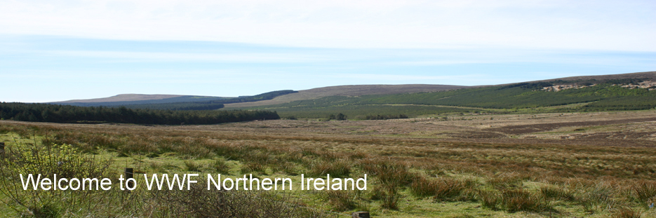 Glenshane Pass