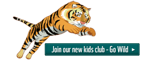 Go Wild tiger