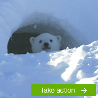 Come out and ask for a brighter, greener future