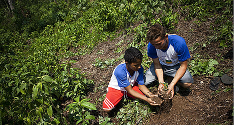 cutting down rainforests