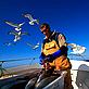 Cleaning handline-caught pollack