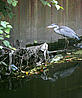 Plastic bags in waterway © Jiri Rezac / WWF-UK