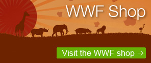 WWF Shop