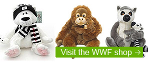 WWF Shop