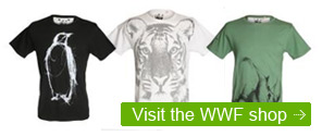 WWF Shop