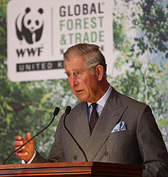 HRH The Prince of Wales speaking at the GFTN summit © Paul Burns