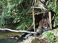 Hydroelectric scheme