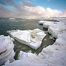 Driftice, Jan Mayen Islands (NO), Isfjorden, Svalbard, Spitsbergen, Norway.