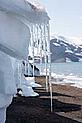 © Olaf Willoughby / WWF-UK Polar landscape with icicles Polar landscape © © Olaf Willoughby / WWF-UK